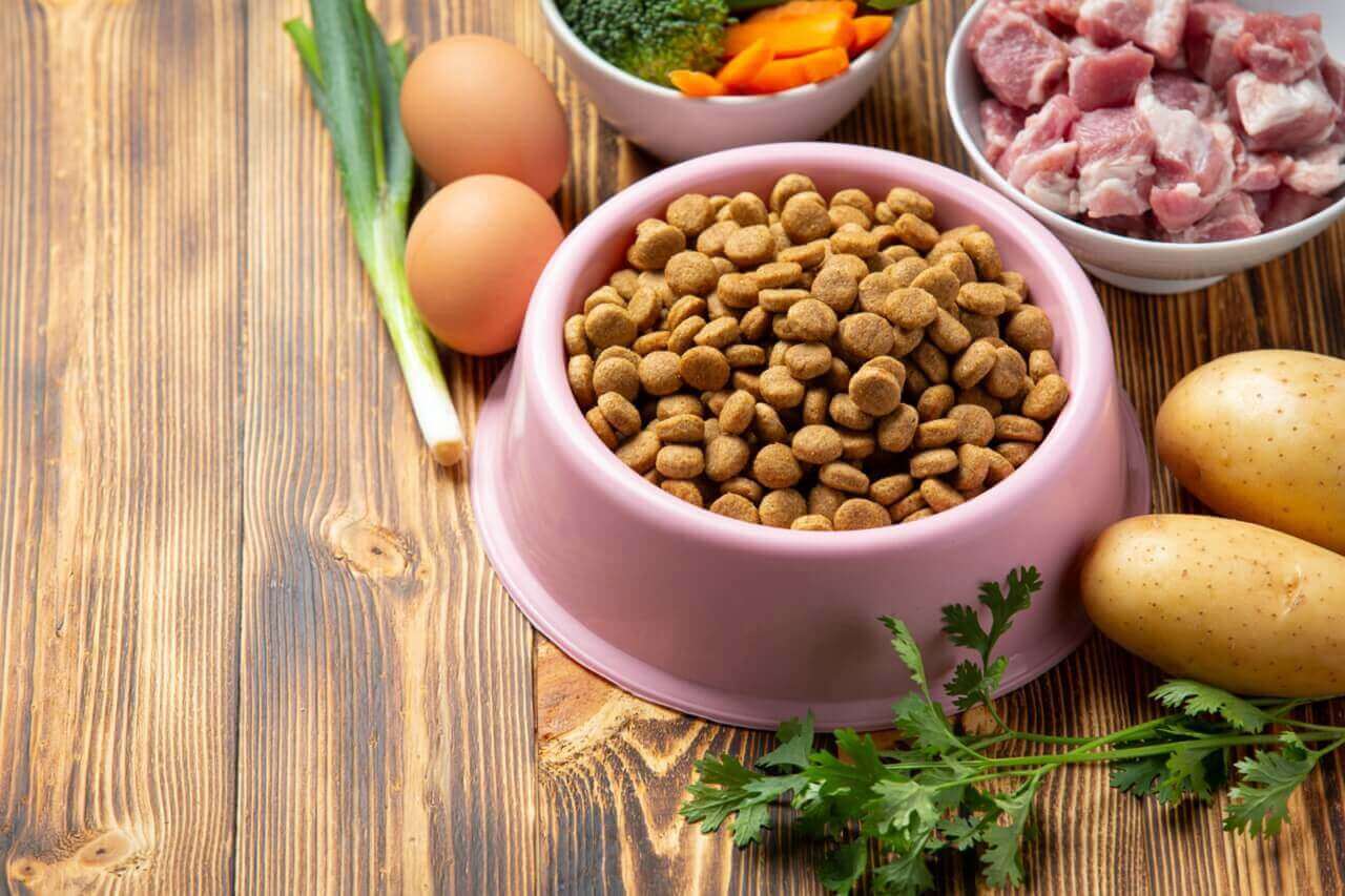 La comida saludable para mascotas que debes tener en casa
