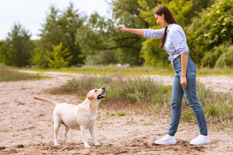 mujer enseñando ordenes a su perro en el campo